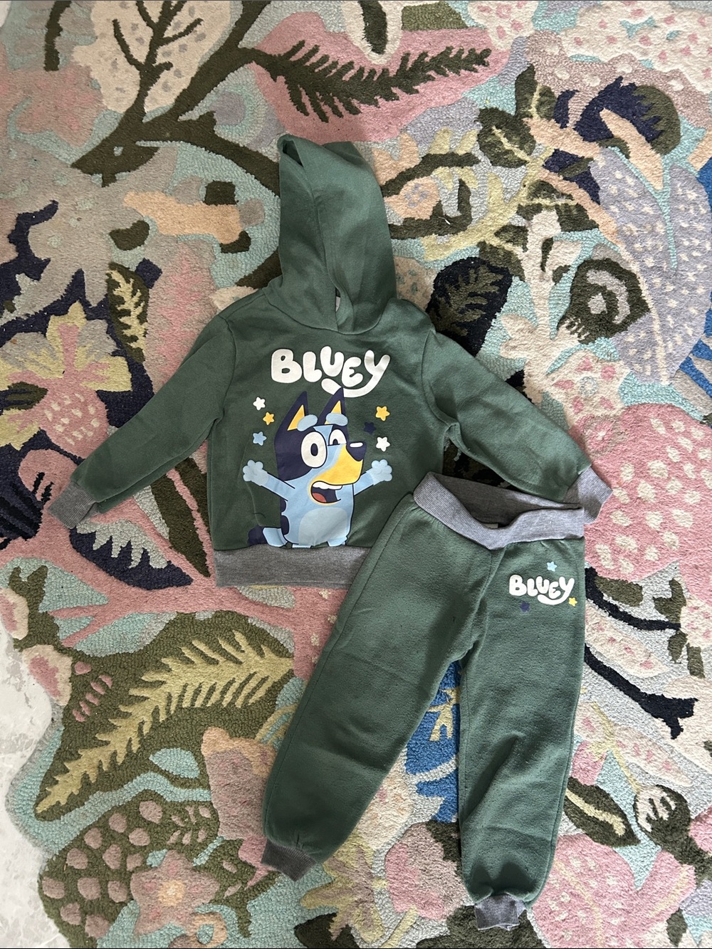 Bluey Kids Hoodie & Joggers Set - Forest Green